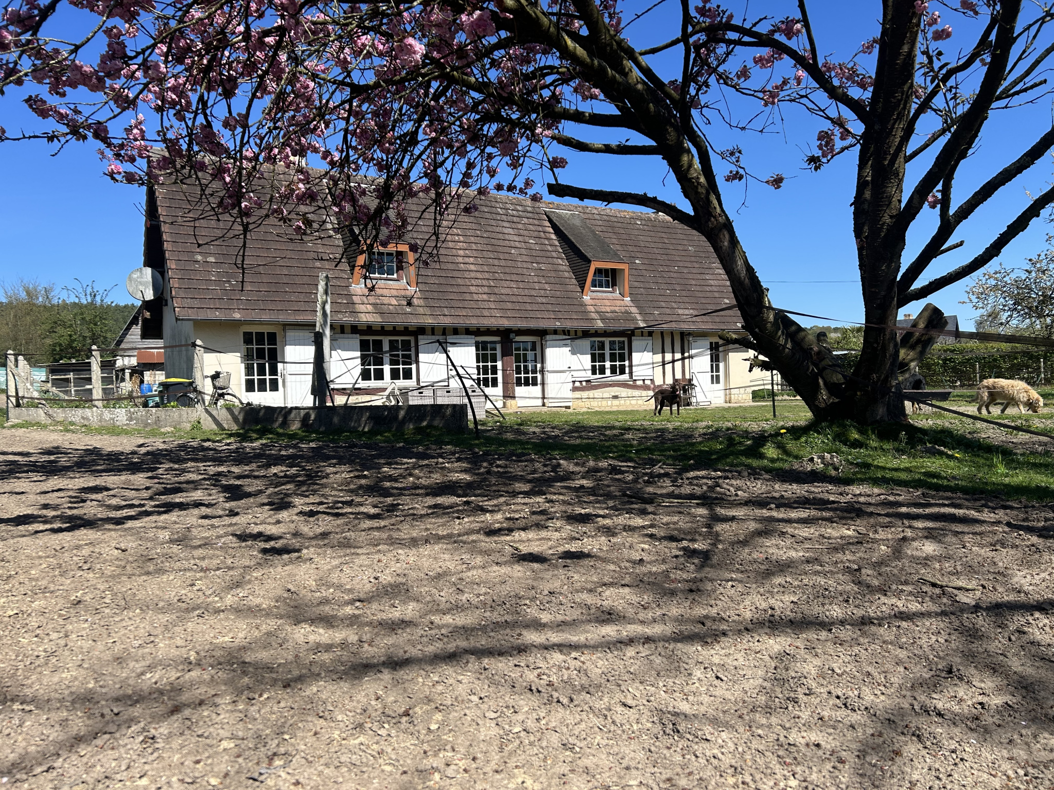 Maison 4 pièces 97m2 terrain de 7800m2